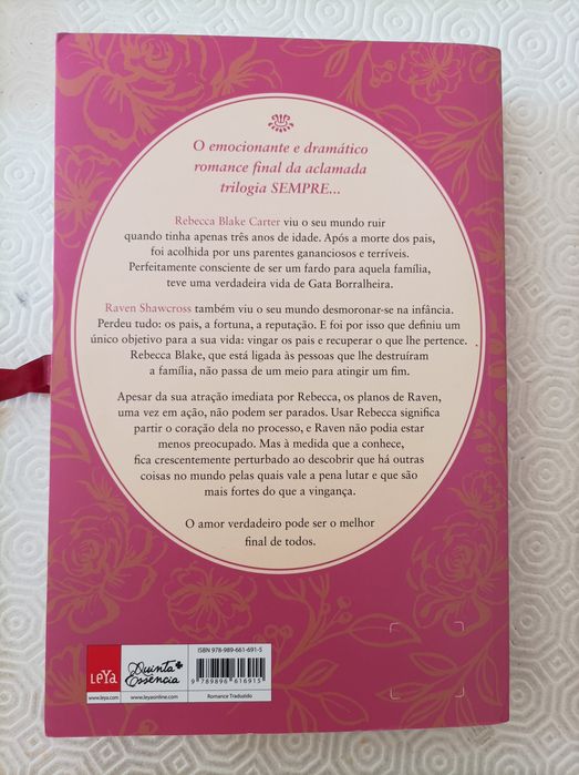 A órfã e o vingador de Cheryl Holt ( portes incluídos)