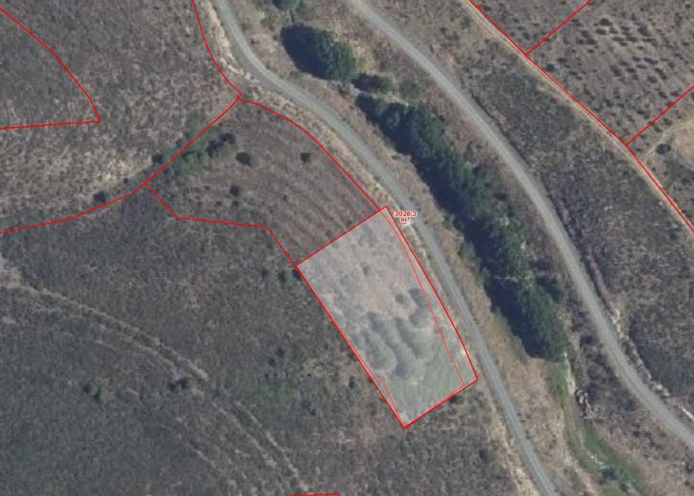 Picoto - Lagos do Sabor