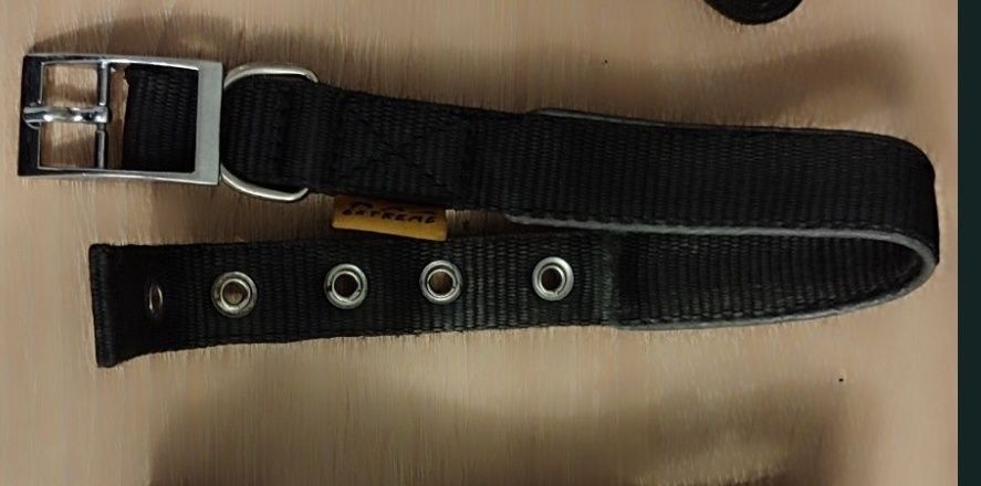 Ошейник для собаки