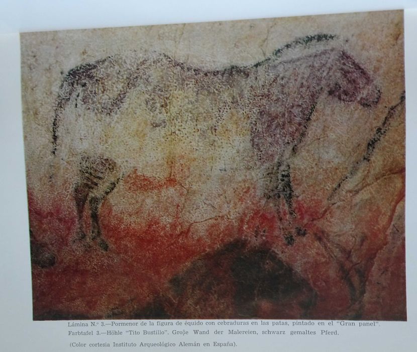 Las Pinturas Prehistoricas de La Cueva Tito Bustillo (Ribadesella)