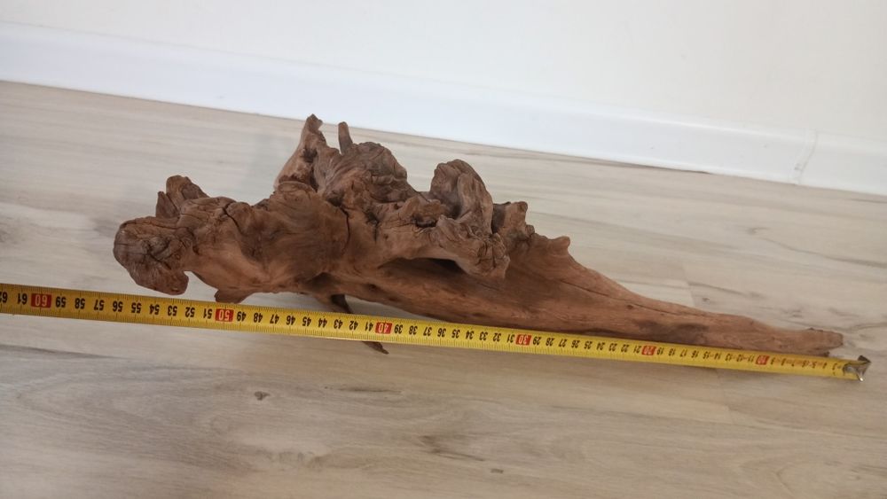 Japoński korzeń akwariowy