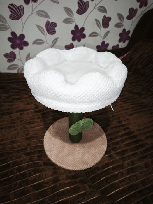 Точилка для кішок