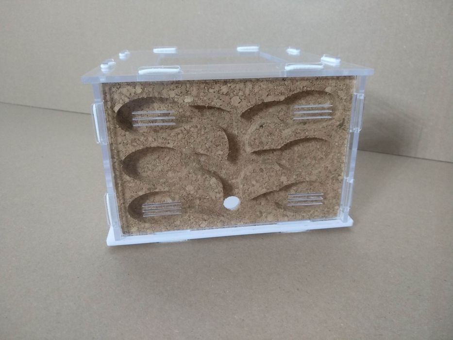 Formikarium D2+K, D4+K, mrówki, poczwarki