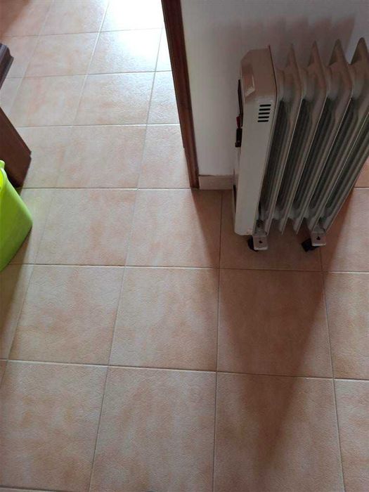 Aquecedor a óleo de 6 elementos