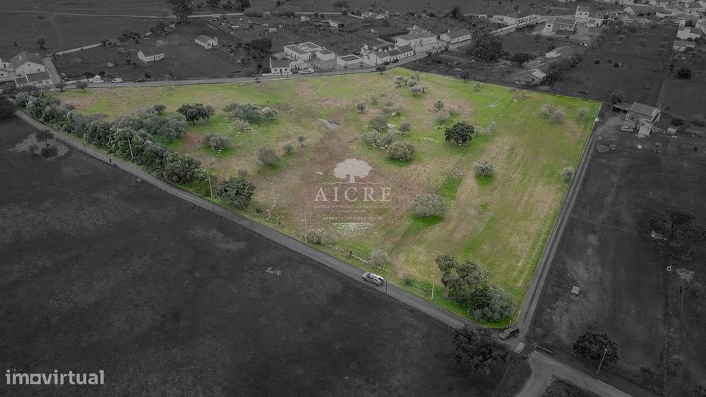 Oportunidade Única de Investimento no Alentejo