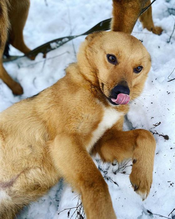 Две невероятных девочки ищут самых лучших родителей!