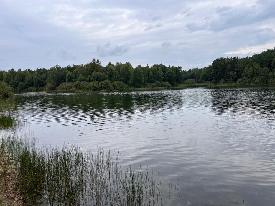 Domek na Kaszubach domki Nad Jeziorem Bartoszylas Wygonin Sauna