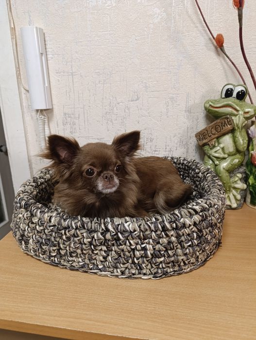 Лежанка для кота или собаки