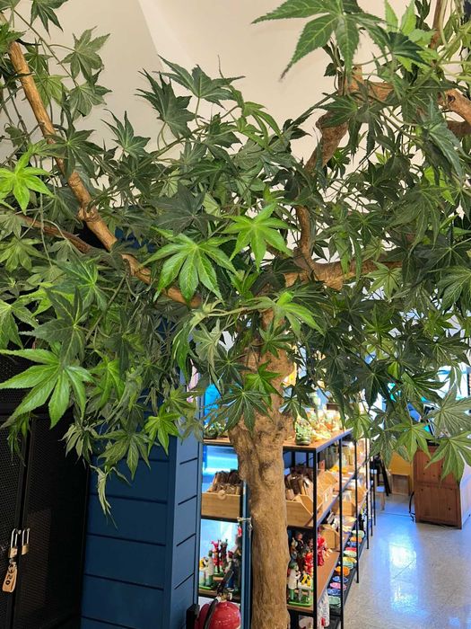 Arvore artificial Acer de qualidade