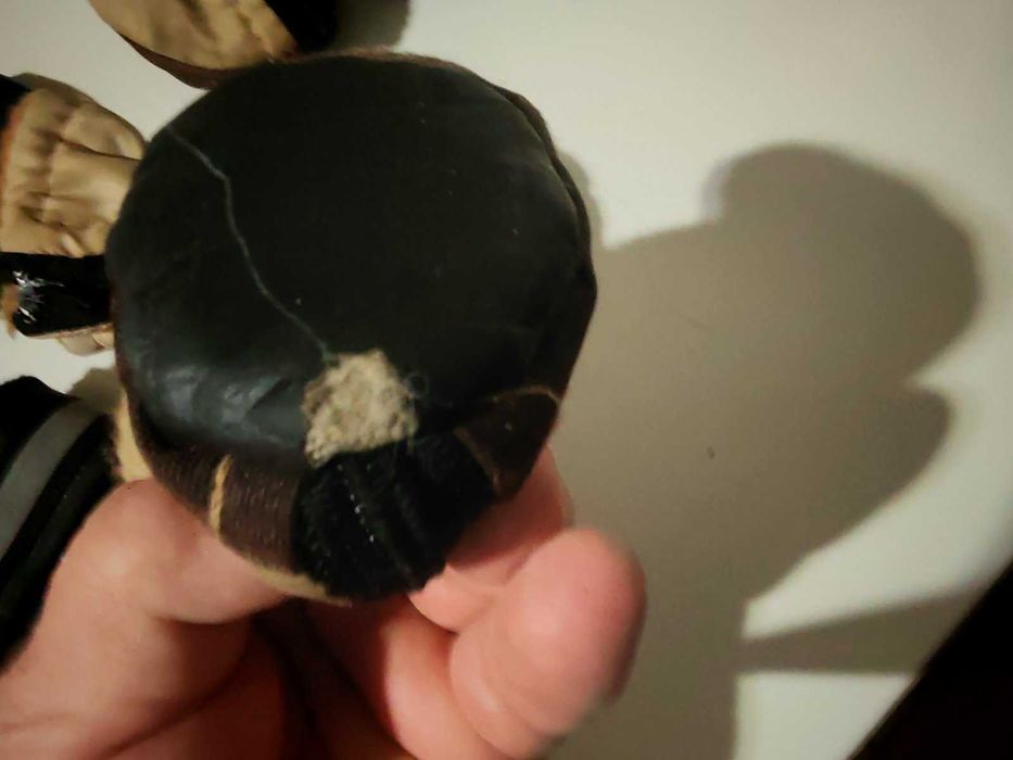 обувь собачья сапожки для француза