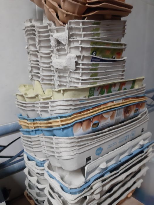 Caixas de ovos de 6 e 12uni