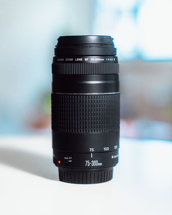 Canon EF 75-300mm f/4-5.6 III USM