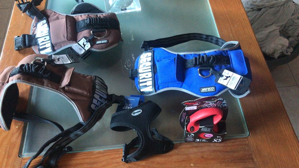 Coleira e tigela para cachorro