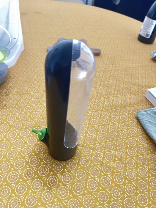 Conservador de coentros e salsa