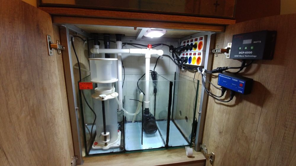 Akwarium morskie zestaw