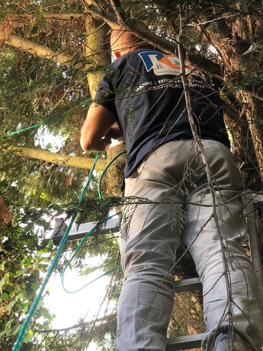 Jardineiro e limpeza de terrenos