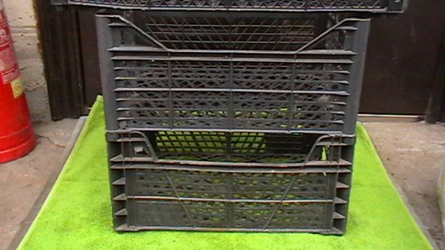 Ящики овощные продам.