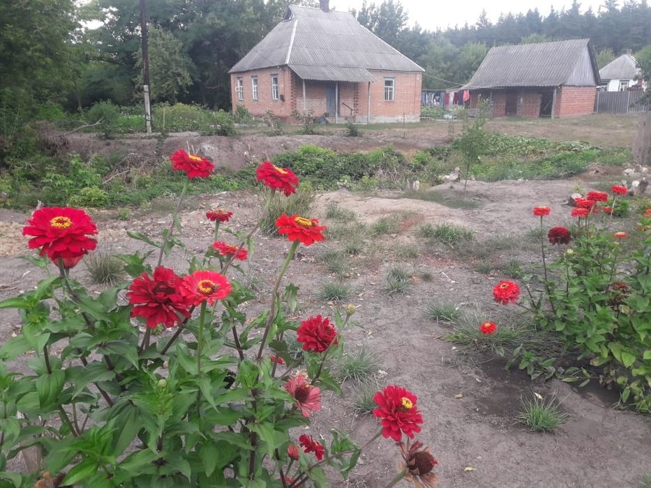 Продається будинок