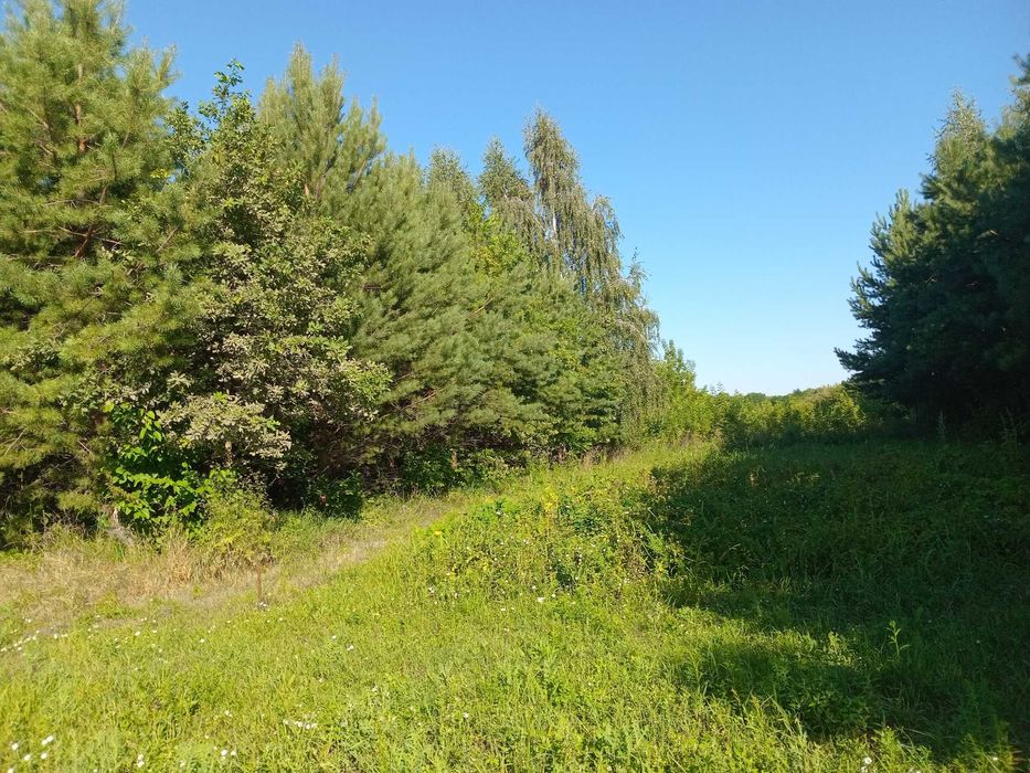 Житло у селi для переселенцiв, бесплатное жилье..