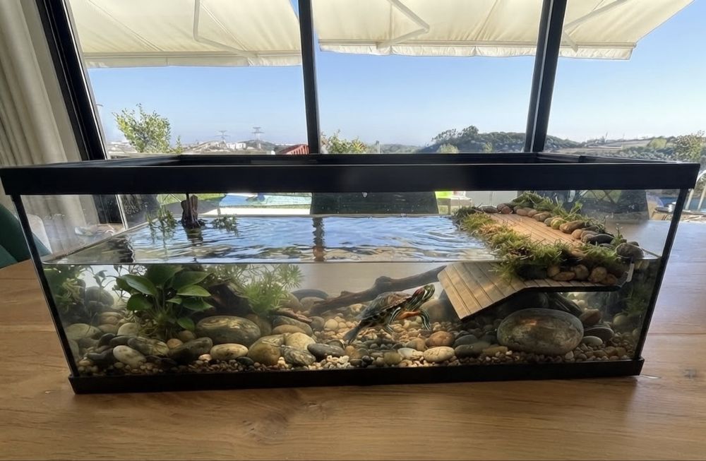 Aquario para tartaruga