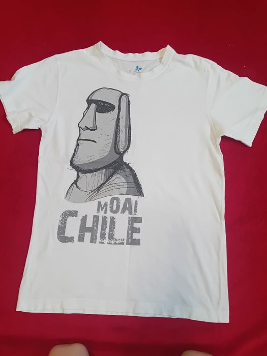 #Morpho T-shirt biały szary Moami Chile S