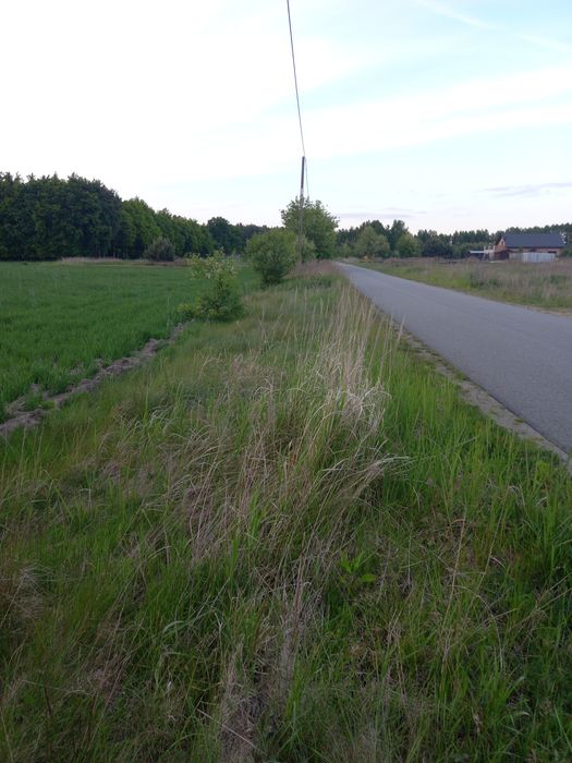 Działki budowlane na sprzedaż – Świeca, gmina Odolanów - Widok 2