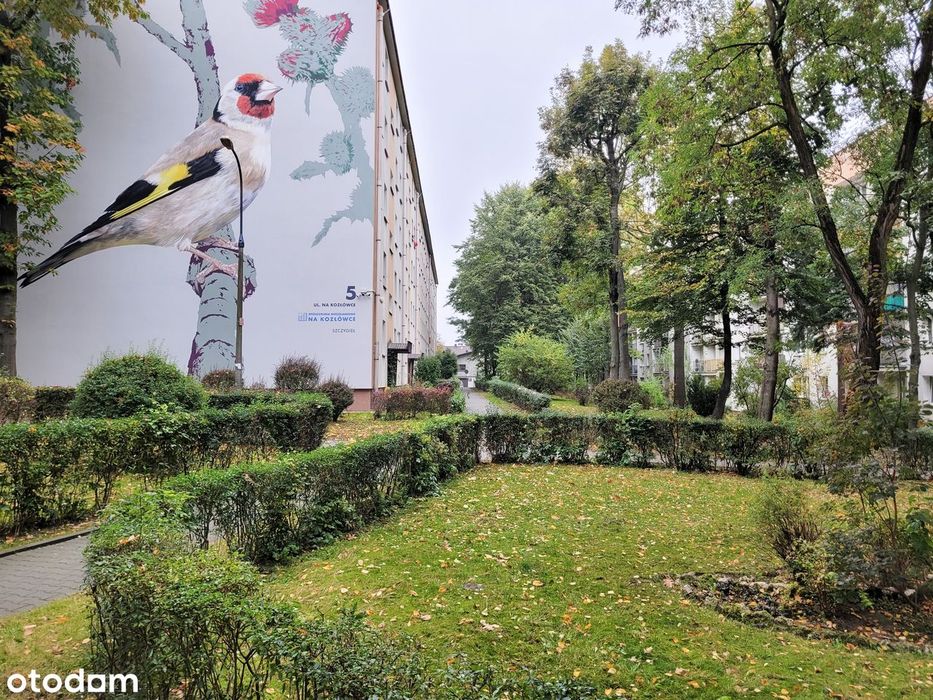 2 pokoje, balkon, blisko tramwaj, KOZŁÓWEK, BIEŻANOWSKA od zaraz