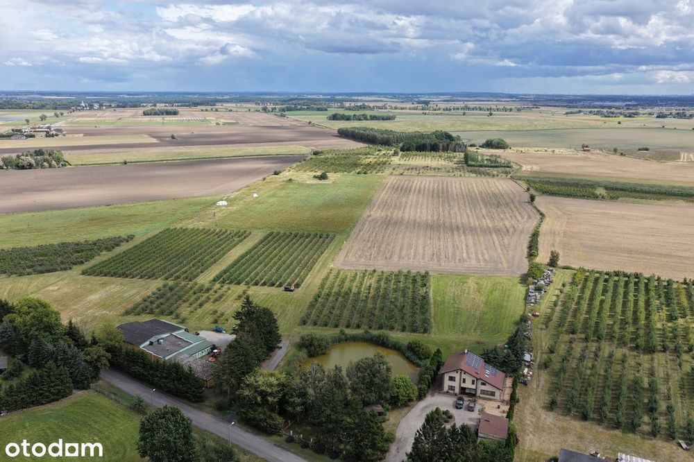 Działka na stadninę koni, RANCZO lub gospodarstwo Z BUDYNKAMI - Widok 3