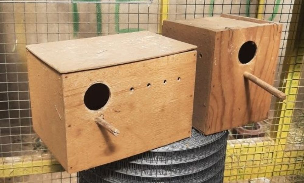 Дуплянка, гнездо, переноска, кормушки, качель для попугаев, птиц