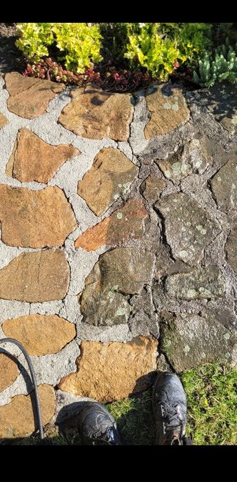 Wiosenne Mycie kostki Dobczyce i okolice