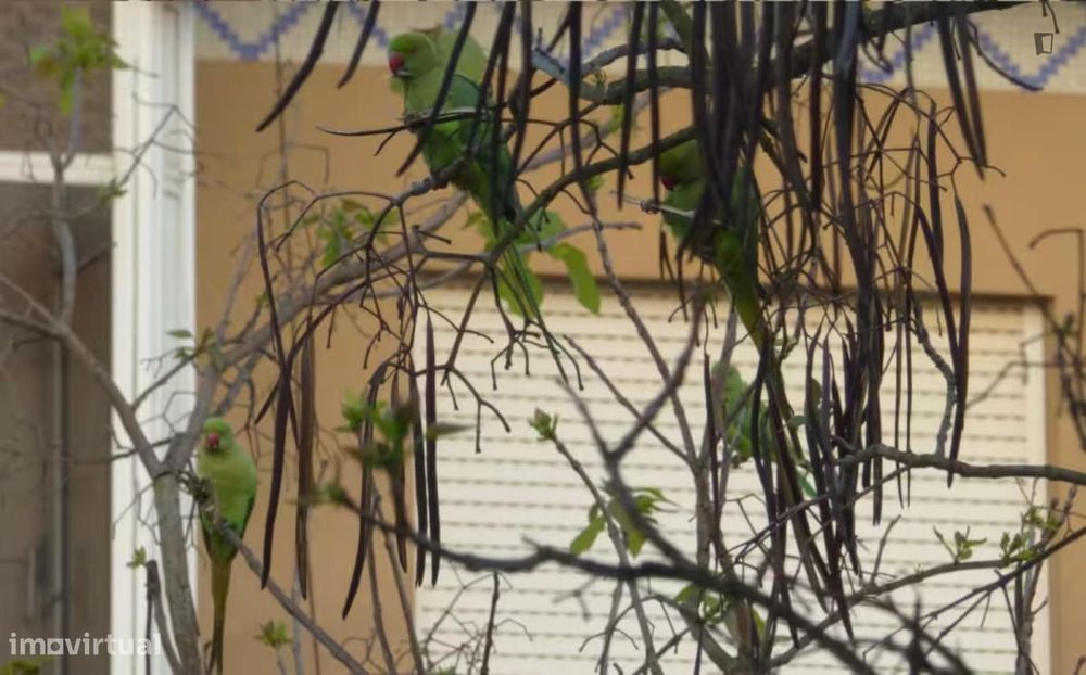 Apartamento com 2 quartos - localizado em Amadora Lisbon