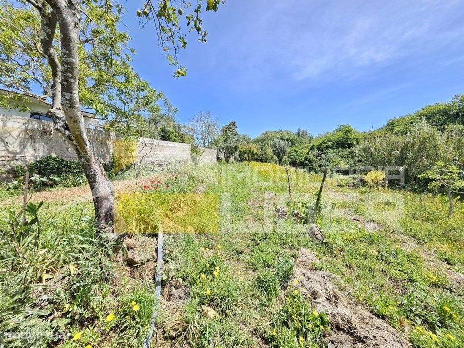 Terreno Rústico com 1.000 m2 na Malveira-Mafra. — Malveira E São Miguel De Alcainça, Lisboa