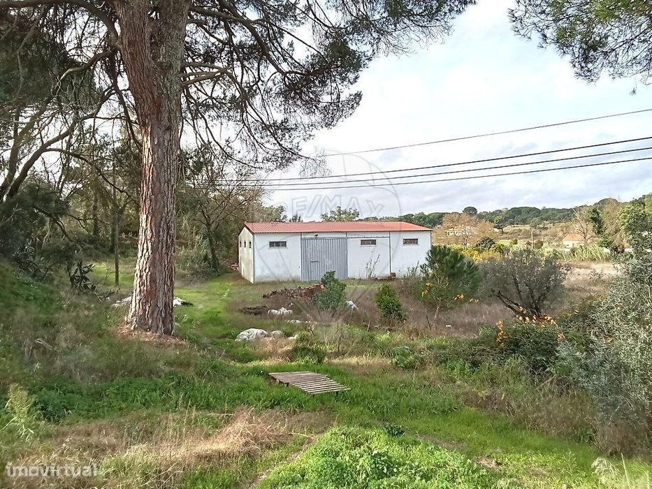 Armazém  para venda