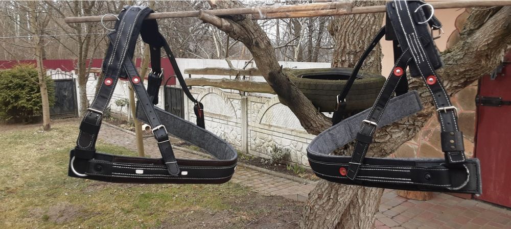 Шлея для коника ,коня ,поні