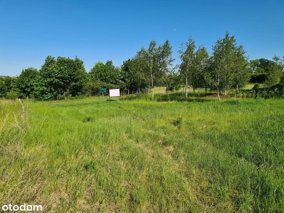 Boszkowo | 652 mkw | na wzgórzu - Widok 4