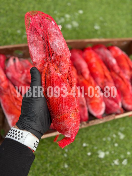 Зріз Лосося, Круасани з Лосося, Тримінг, Слайси, Форель, Ікра