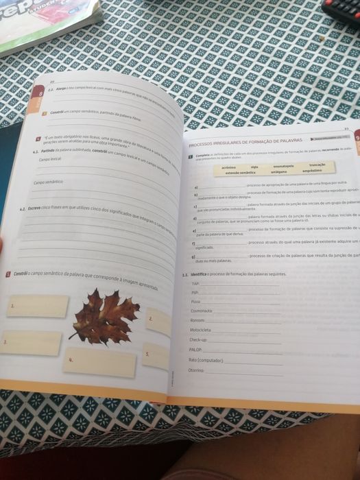 Manual Caminhos 11 + Caderno Atividades