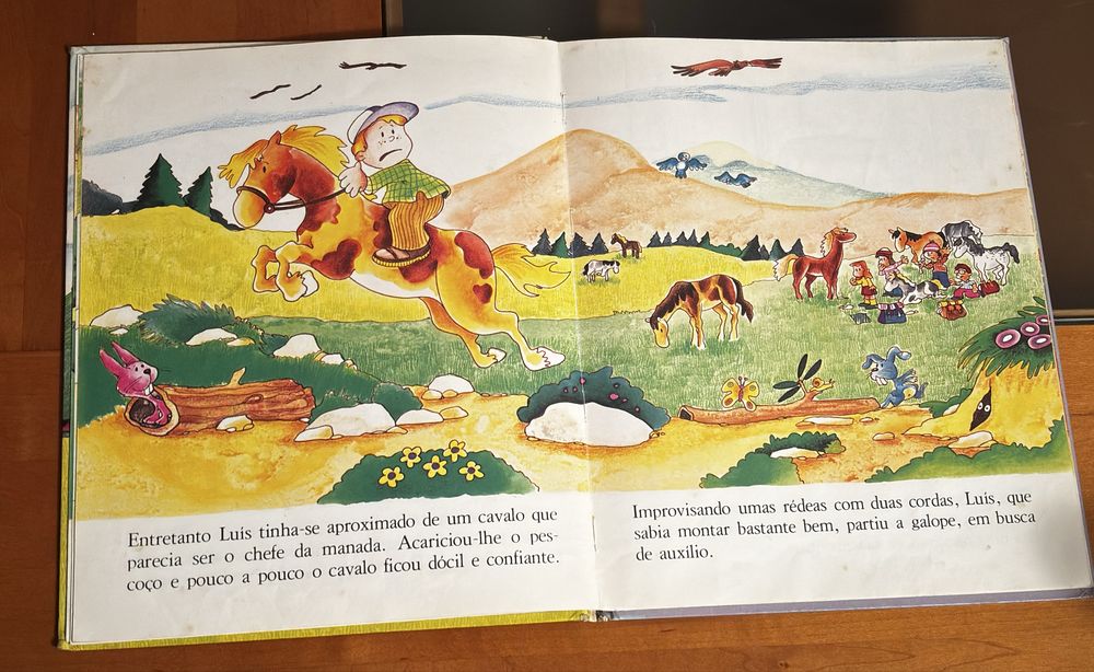 Livro infantil - Luís Socorrista