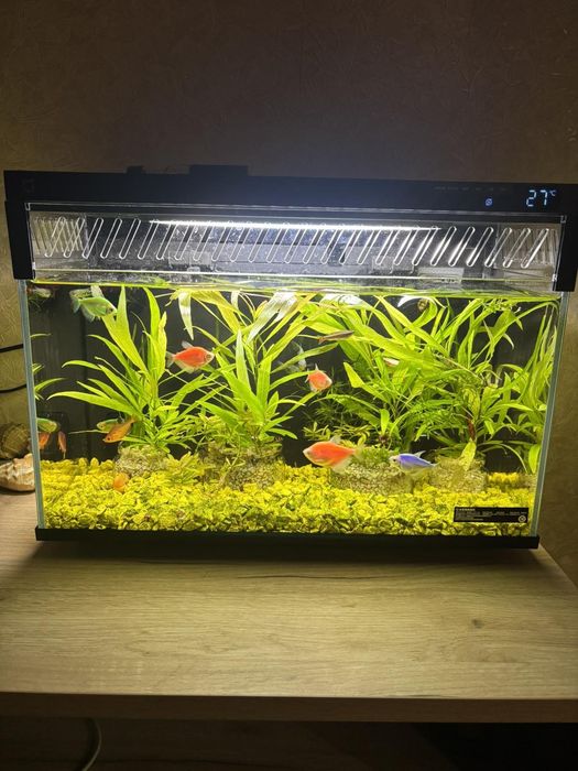 Новый умный аквариум Xiaomi Mijia 20л В наличии