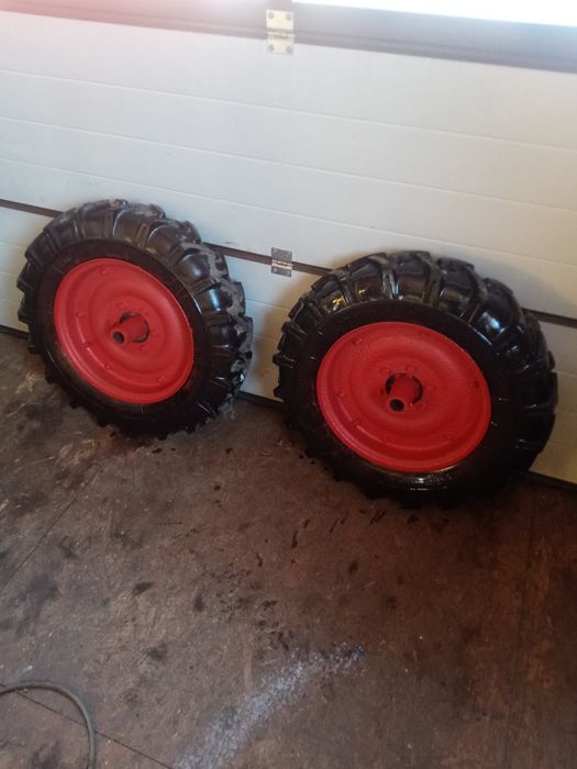 Dzik kola z piastami 16