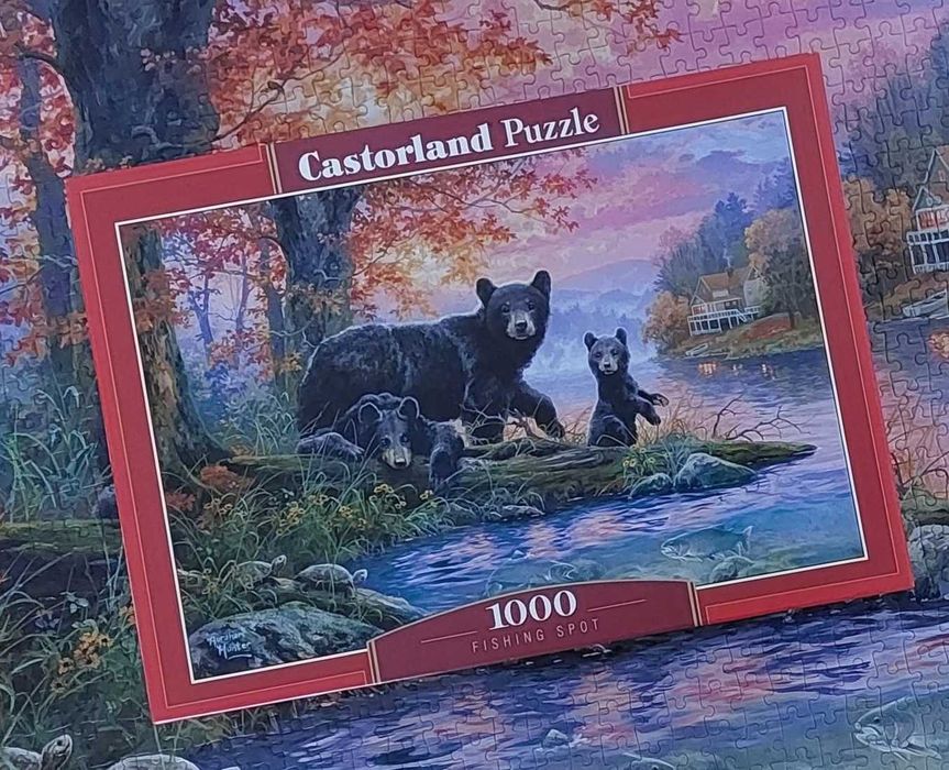 Puzzle Fishing Spot Castorland