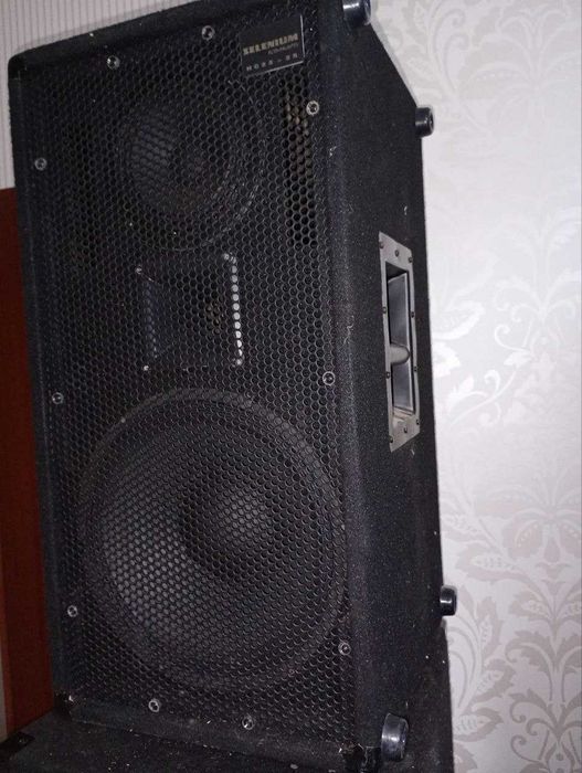 Активная акустическая система SKV Sound pro. 3полосы 250Ват park audio