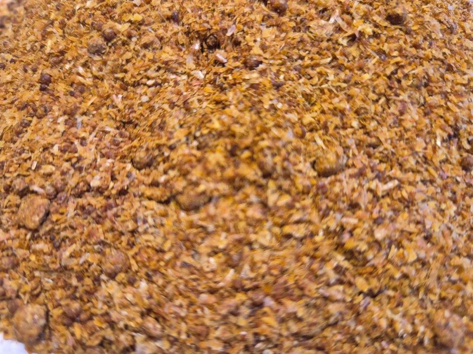 DDGS Kukurydziany (DDGS) wywar gorzelniany białko roślinne