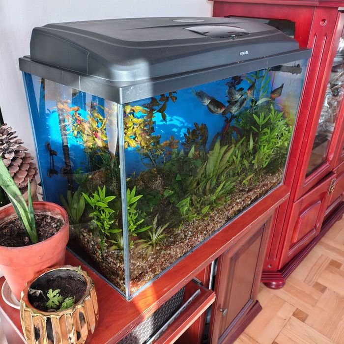 akwarium 160 l. kompletne
