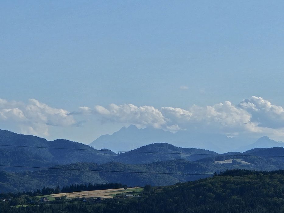 Zdjęcie 3