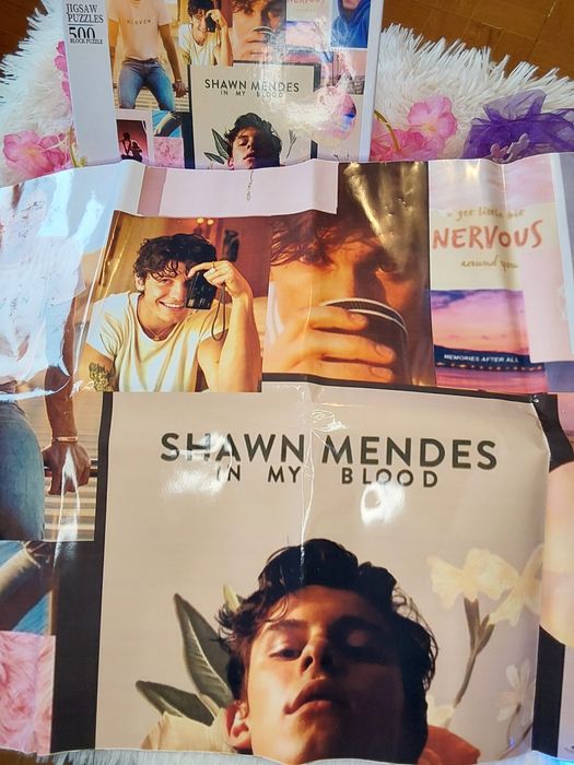 Shawn Mendes Puzzle 500peças