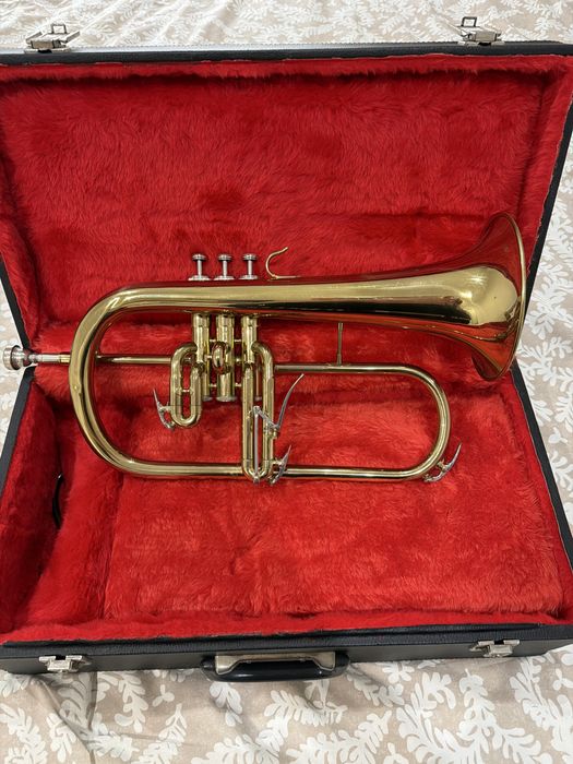 Flugelhorn weril
