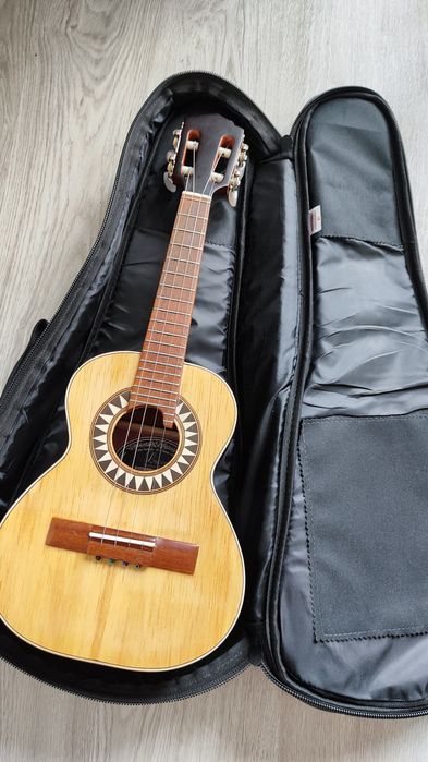 Cavaquinho brasileiro amplificado