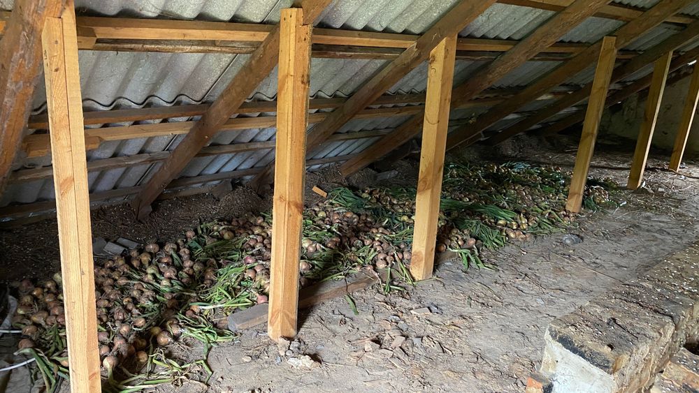 Продається будинок 40 хв від Київа, розвінена інфраструктура.