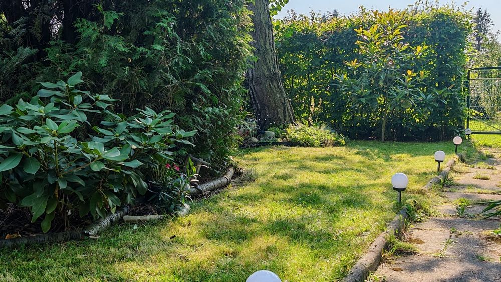 Duża działka ROD 5 arów | Zabierzów | Prąd,woda, ogrodzenie, odnowiony domek